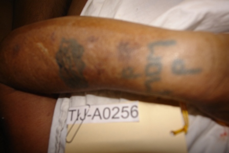 tatuajes de pergaminos. Tatuaje: Tatuajes Múltiples en Brazo izquierdo ilegibles